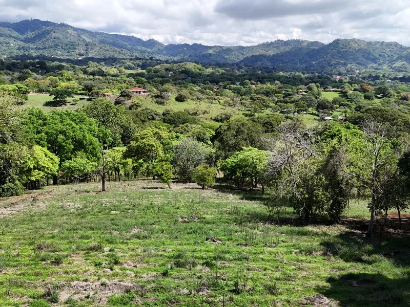 Land For Sale in Atenas