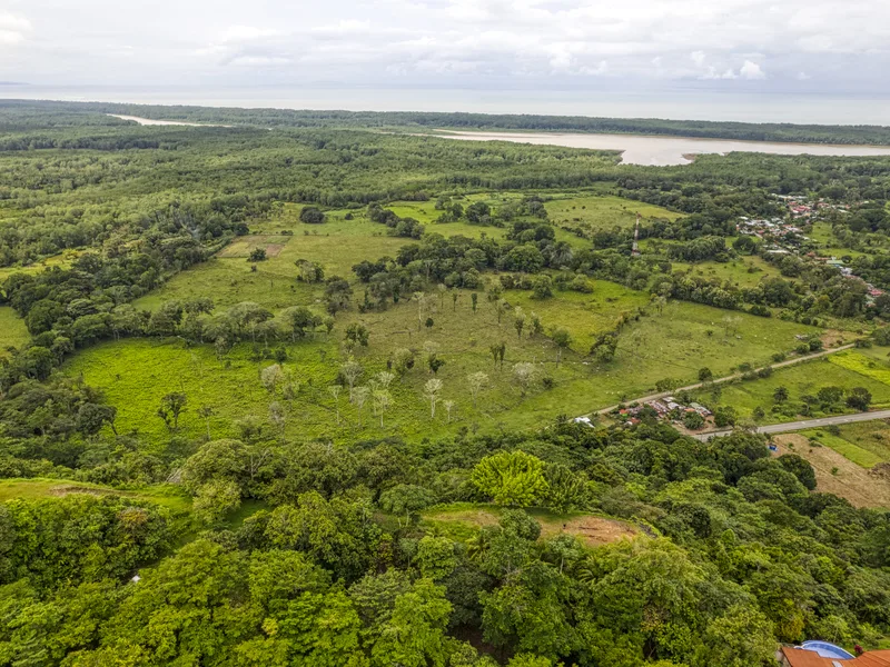 Land For Sale in Ojochal