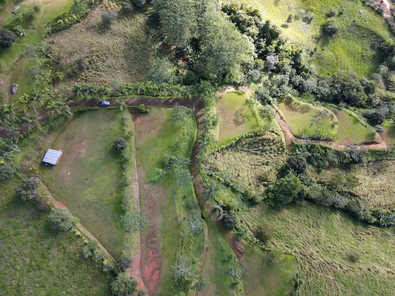 Land For Sale in Perez Zeledon — photo 3
