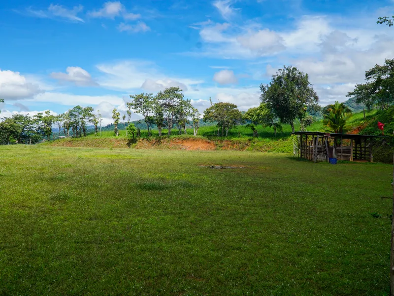 Land For Sale in Perez Zeledon — photo 4
