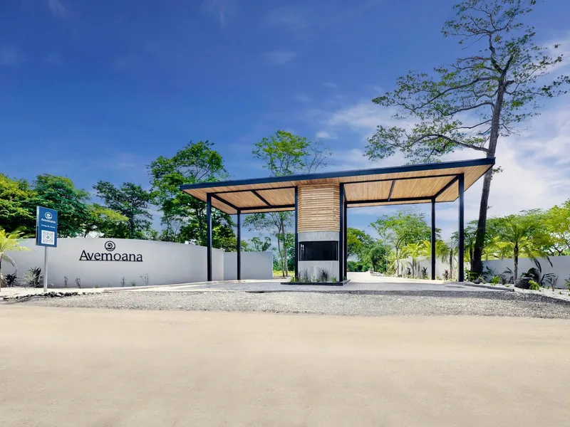 Land For Sale in Avellanas