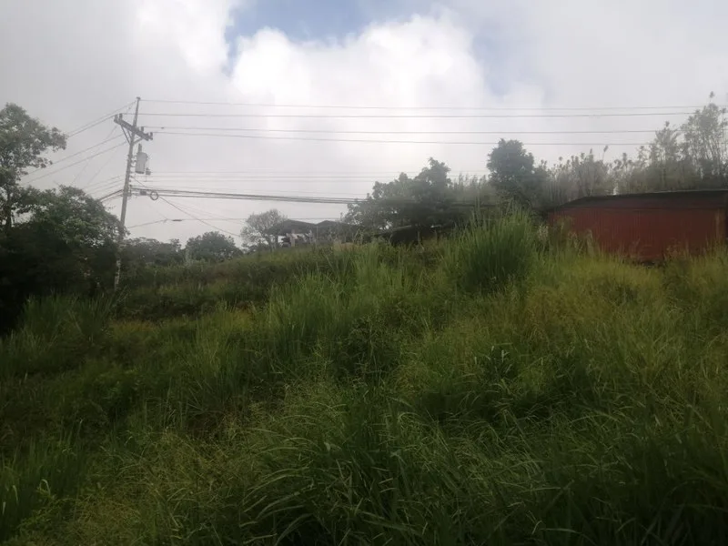 Land For Sale in Atenas