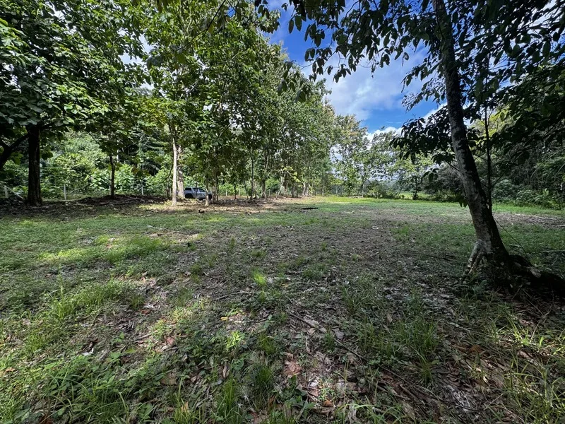 Land For Sale in Ojochal