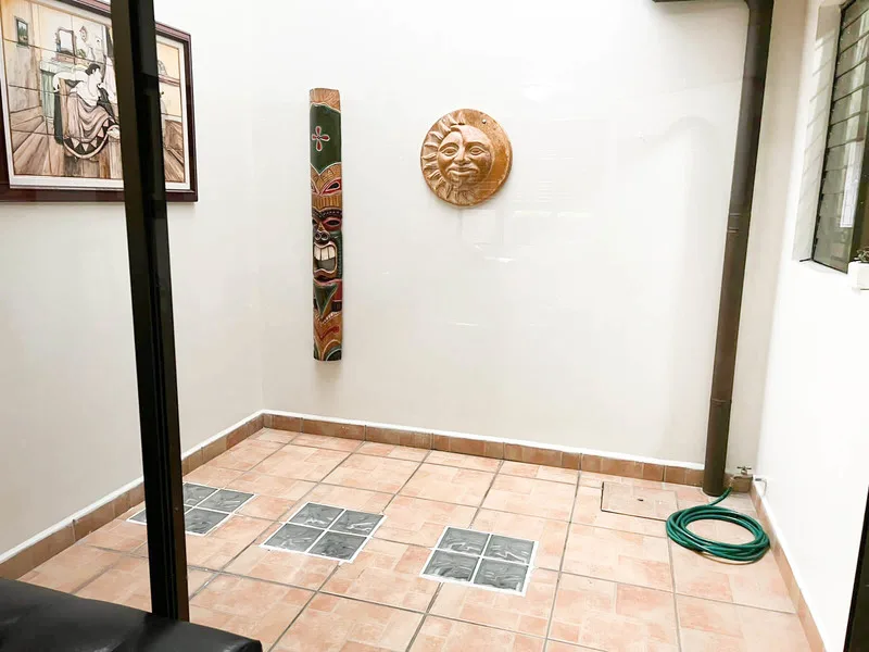 4 Bed Single Family Homes For Sale in La Sabana — photo 3