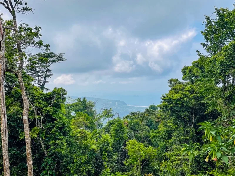 Land For Sale in Uvita