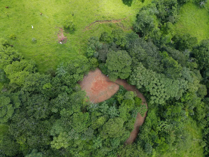 Land For Sale in Perez Zeledon — photo 3