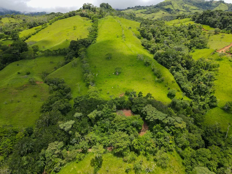 Land For Sale in Perez Zeledon — photo 4