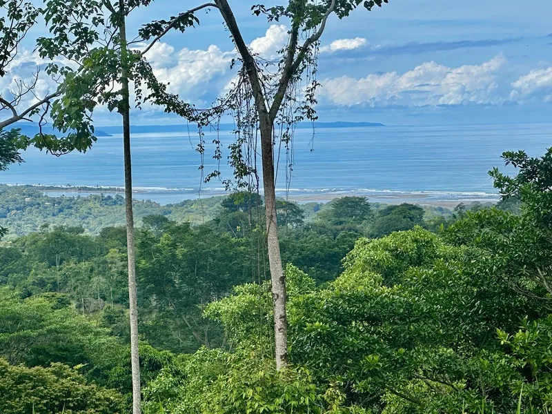 Land For Sale in Ojochal
