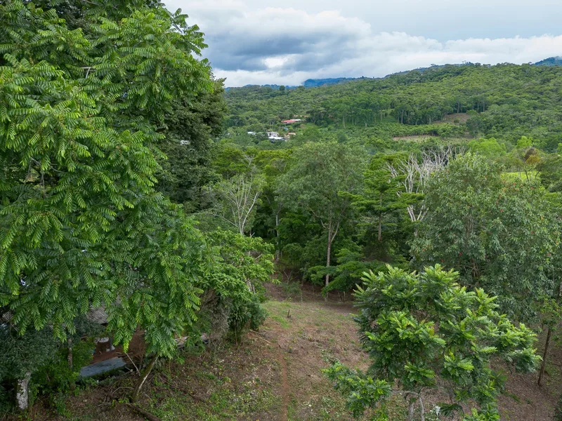 Land For Sale in Perez Zeledon — photo 3