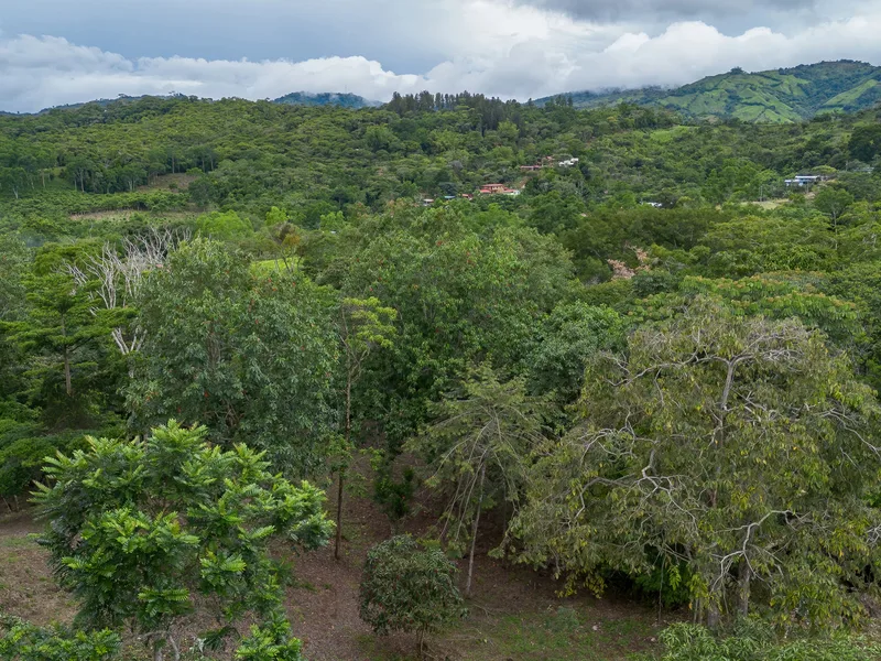 Land For Sale in Perez Zeledon — photo 4