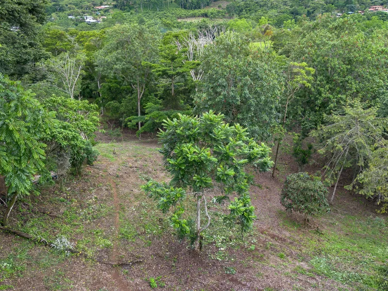 Land For Sale in Perez Zeledon — photo 5