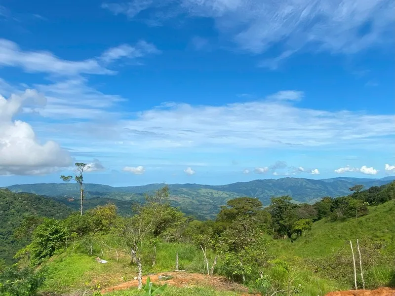 4 Bed Land For Sale in Perez Zeledon — photo 3