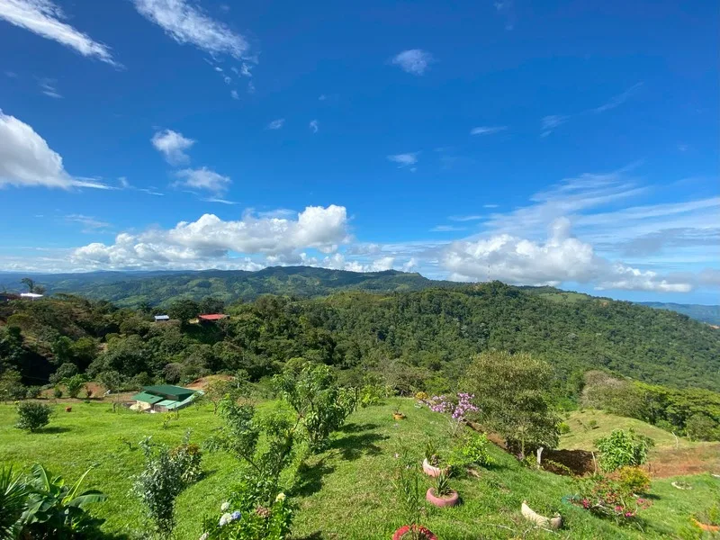 4 Bed Land For Sale in Perez Zeledon — photo 4