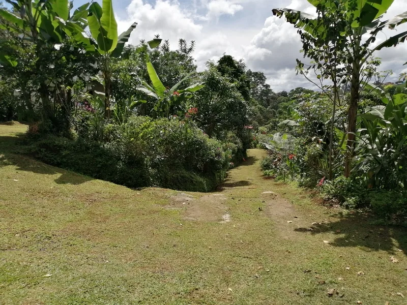 Land For Sale in Orotina