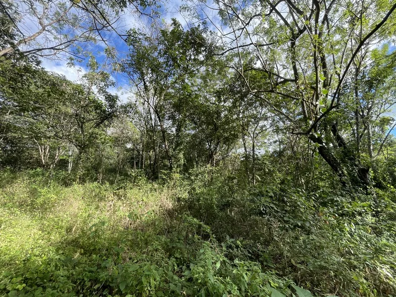 Land For Sale in Tamarindo