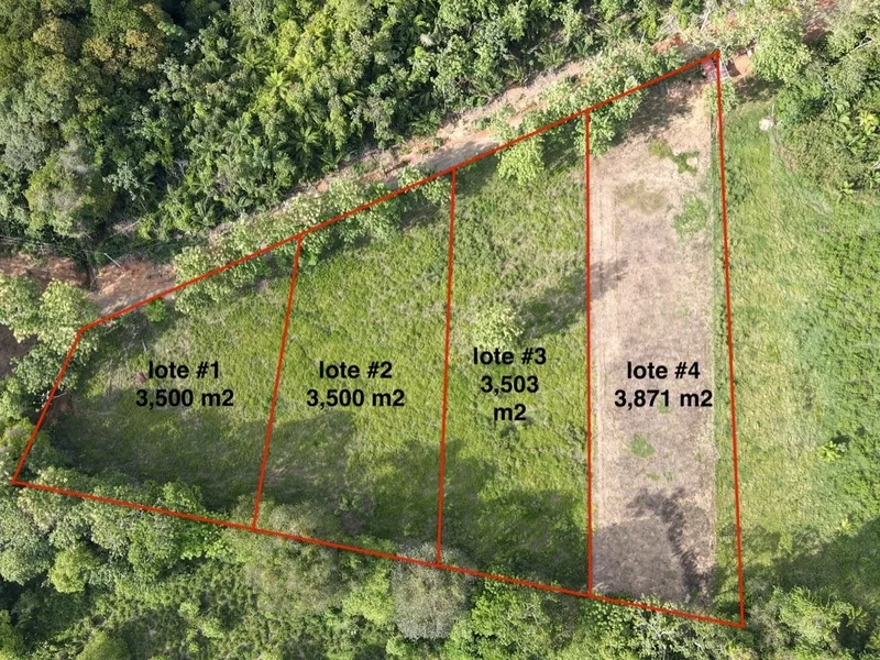 Land For Sale in Ojochal