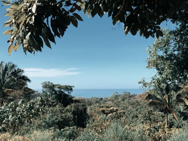 Land For Sale in Santa Teresa