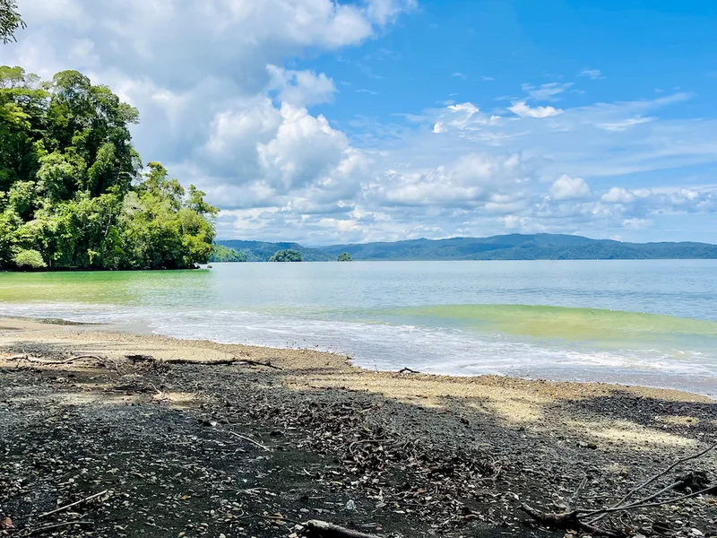 Land For Sale in Rincon