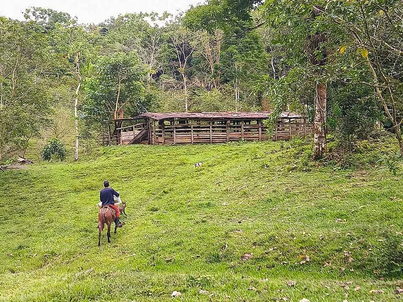 Land For Sale in Dominical