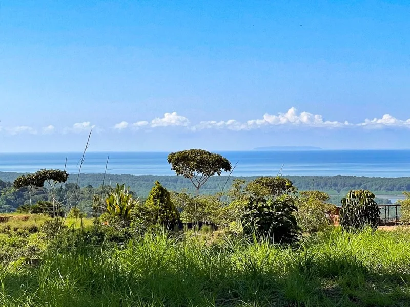 Land For Sale in Ojochal
