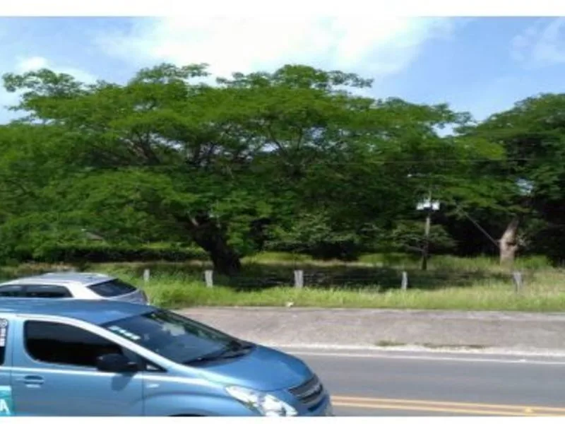 Land For Sale in Nicoya Peninsula