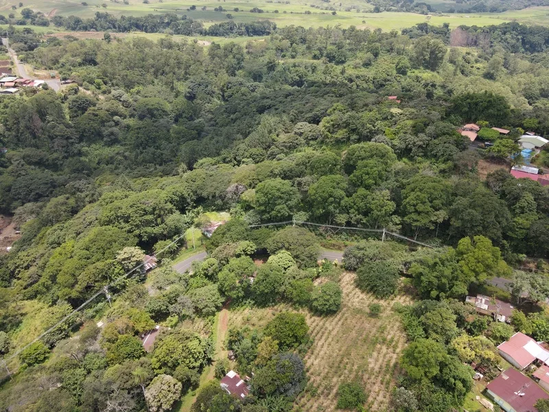 Land For Sale in Grecia