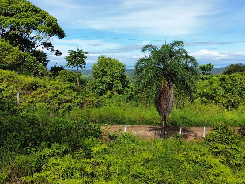 Land For Sale in Ojochal