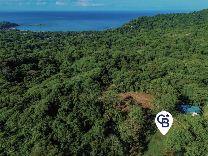 Land For Sale in Dominical