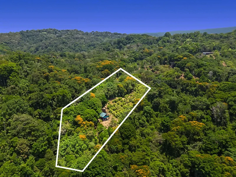 1 Bed Single Family Homes For Sale in Dominical