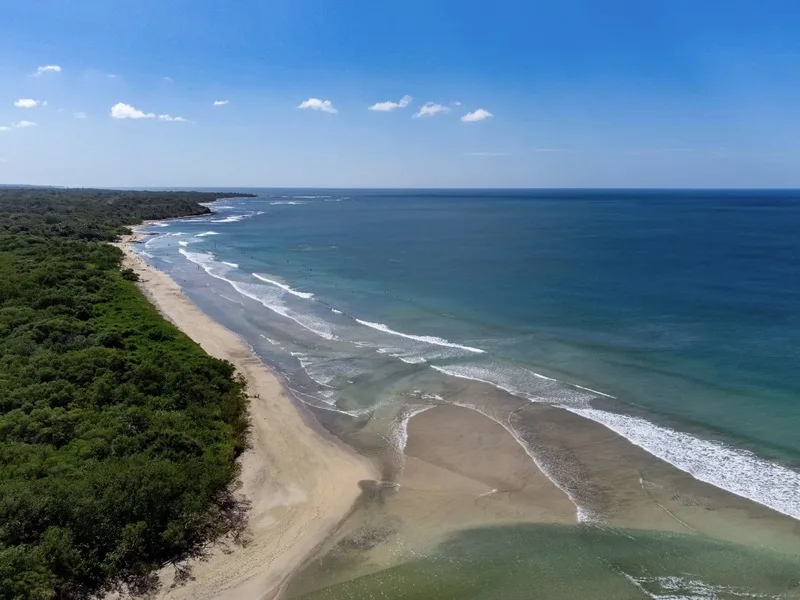 Land For Sale in Avellanas