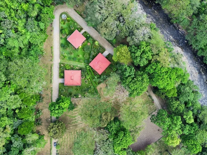 Land For Sale in Ojochal