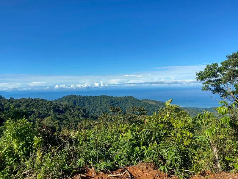 Land For Sale in Uvita