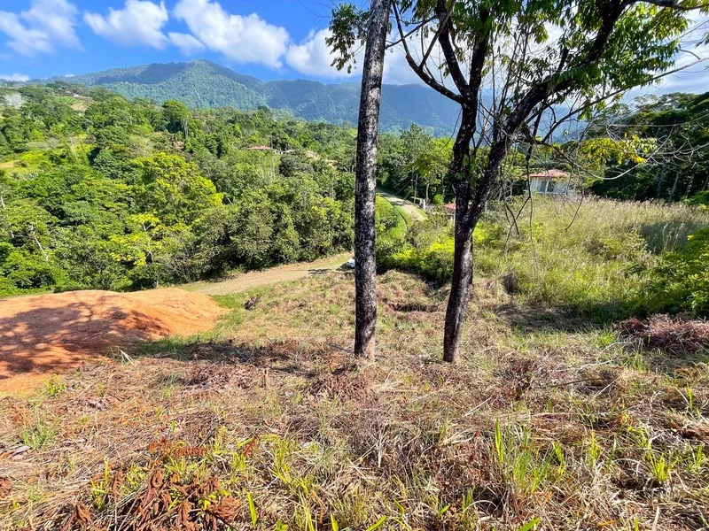 Land For Sale in Ojochal