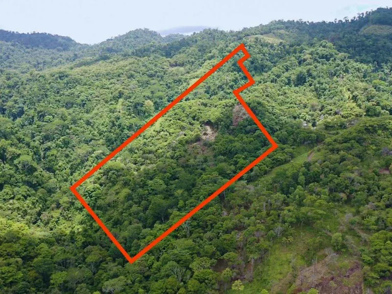 Land For Sale in Savegre
