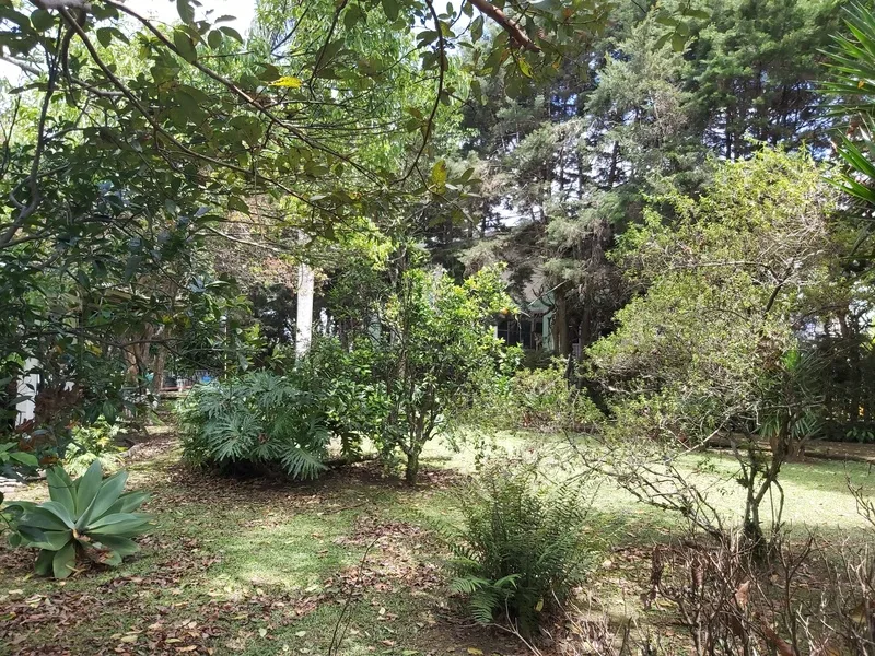 Land For Sale in Montes de Oca — photo 2