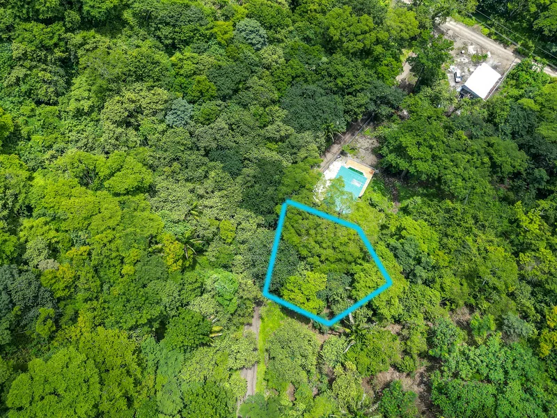 Land For Sale in Nosara