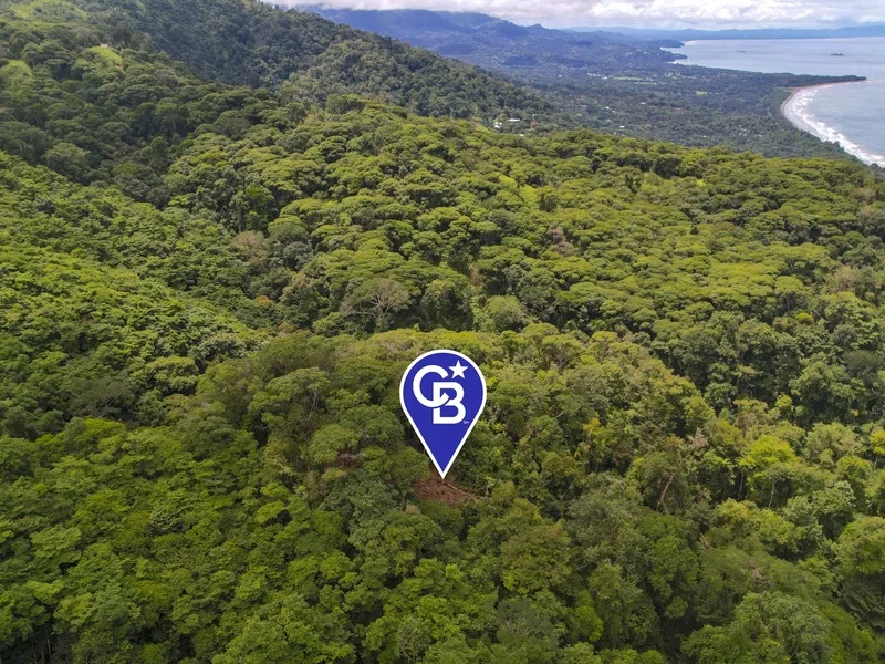 Land For Sale in Dominical