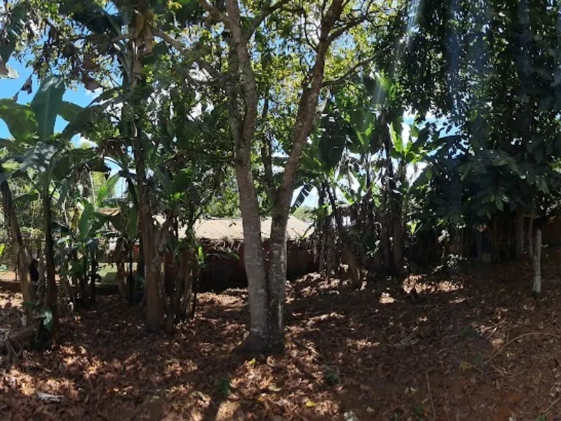 Land For Sale in Perez Zeledon — photo 2