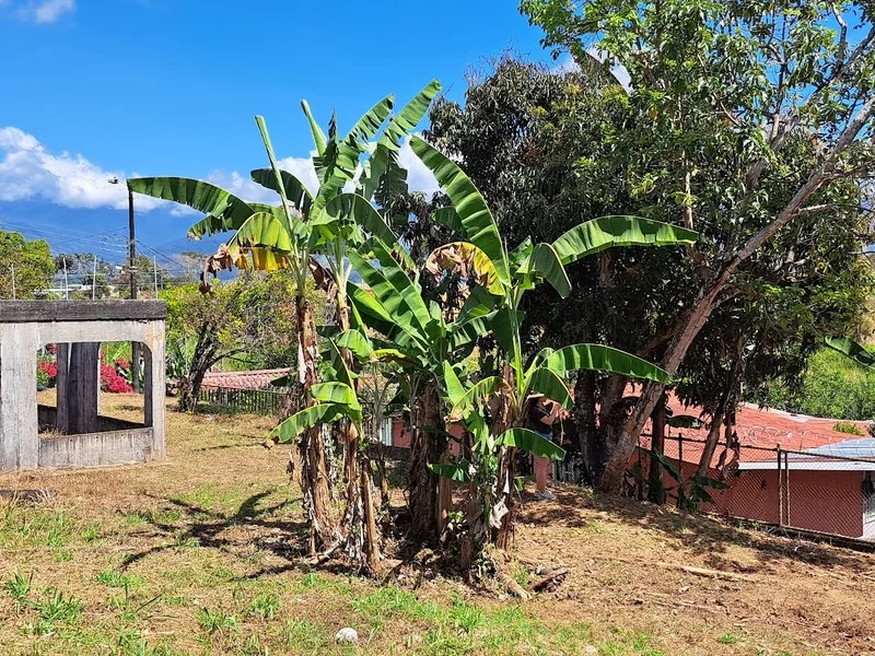 Land For Sale in Perez Zeledon — photo 3