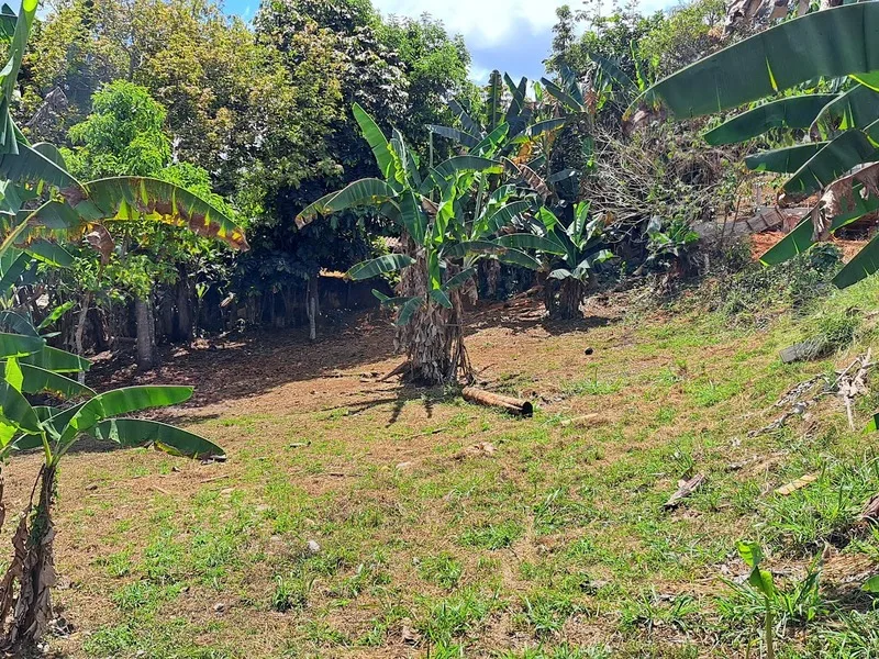 Land For Sale in Perez Zeledon — photo 4