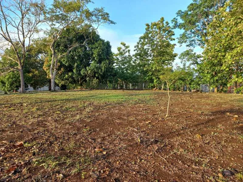 Land For Sale in Orotina