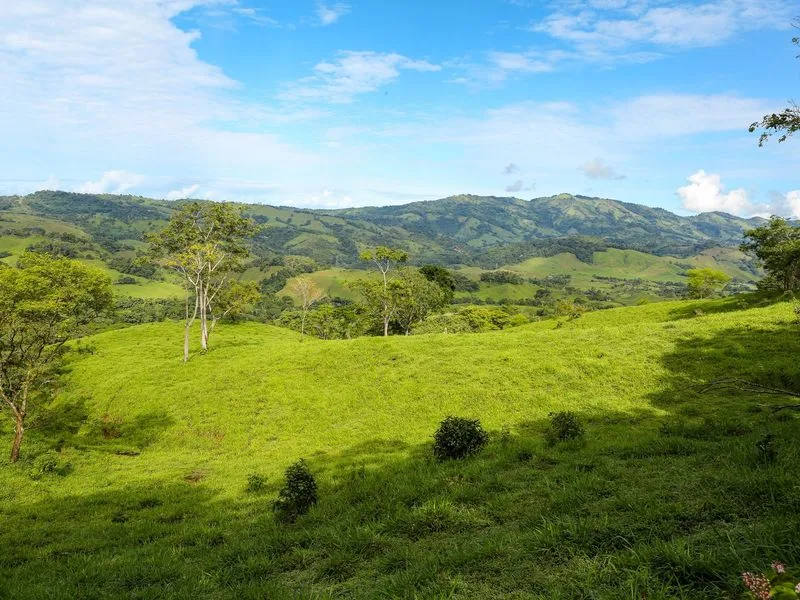 Land For Sale in Dominical
