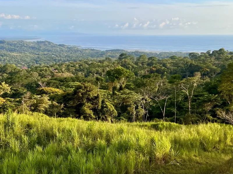 Land For Sale in Ojochal