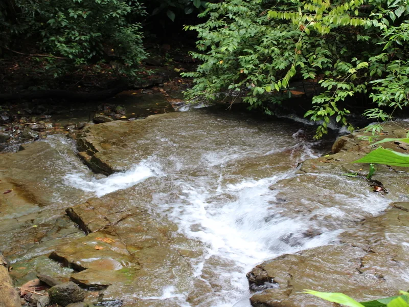 Land For Sale in Dominical