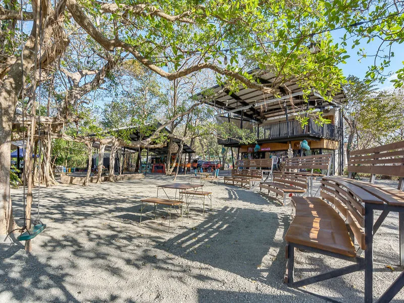 Commercial For Sale in Avellanas