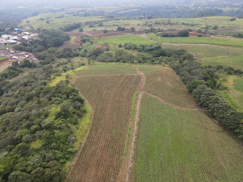 Land For Sale in Grecia