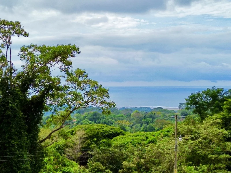 Land For Sale in Ojochal