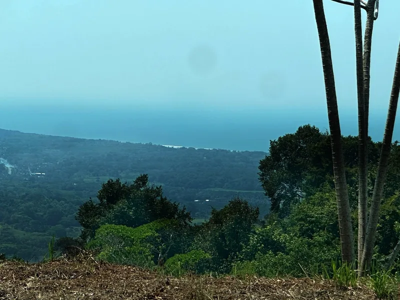 Land For Sale in Savegre