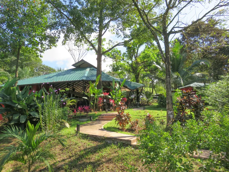6 Bed Commercial For Sale in Ojochal