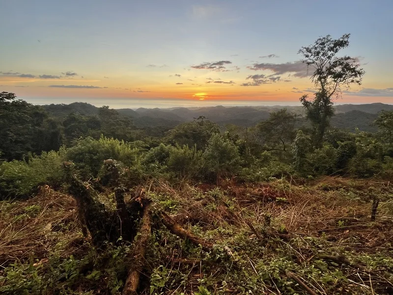 Land For Sale in Nosara